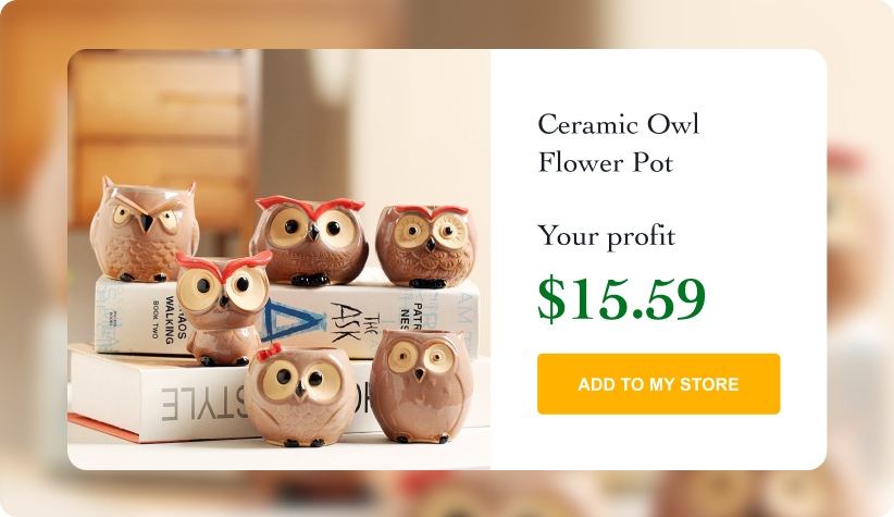 Ceramic Owl Flower Pot