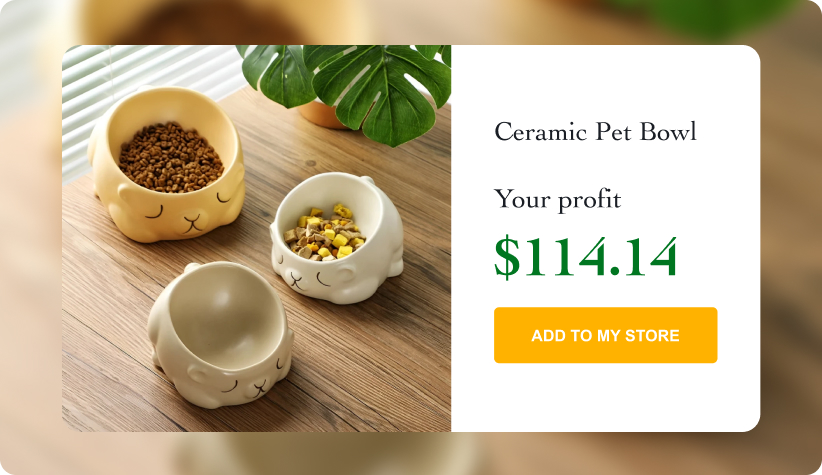 Ceramic Pet Bowl