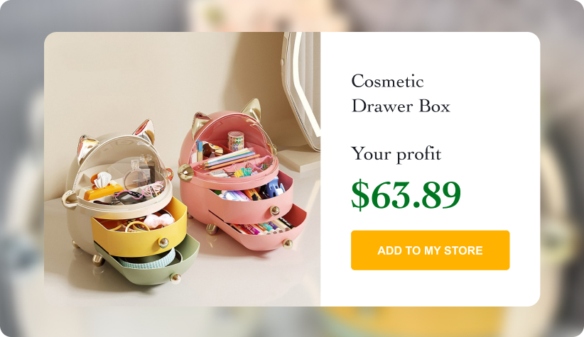 Cosmetics Storage Organizer