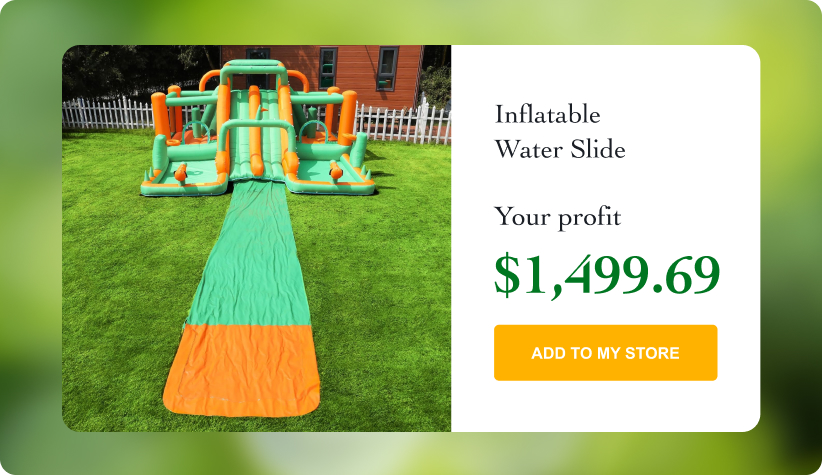 Inflatable Water Slide