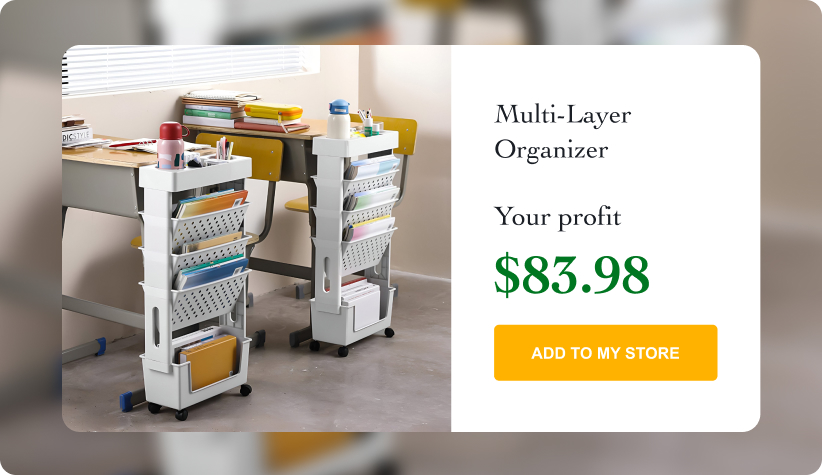 Movable Multi-Layer Organizer